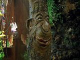Tree-man.jpg image by Alison_Harris