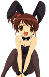 bunnysis.png image by DRPAPI5674