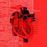 folder-11.jpg image by treebeats